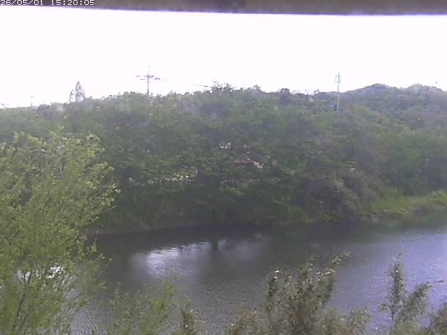 勝部川１2026/05/01 16:50:00