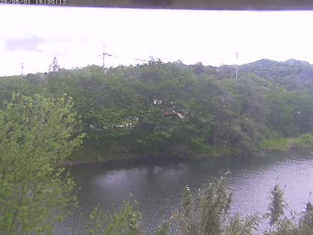 勝部川１2026/05/01 16:50:00