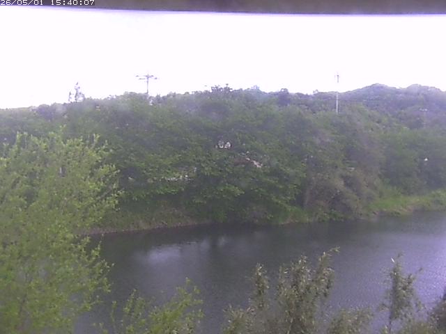 勝部川１2026/05/01 16:50:00