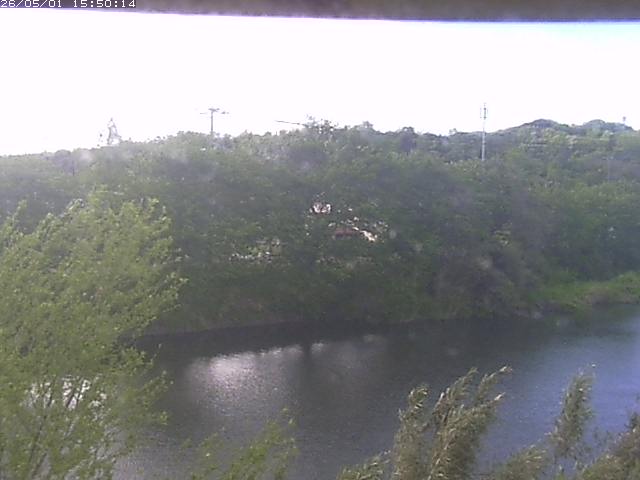 勝部川１2026/05/01 16:50:00