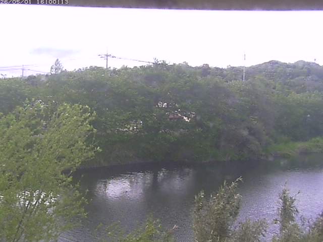 勝部川１2026/05/01 16:50:00
