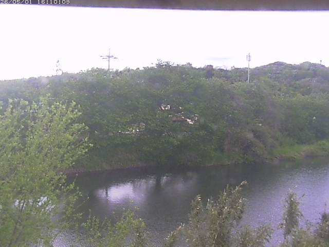 勝部川１2026/05/01 16:50:00