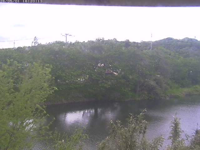 勝部川１2026/05/01 16:50:00