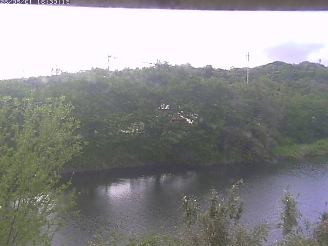 勝部川１2026/05/01 16:50:00