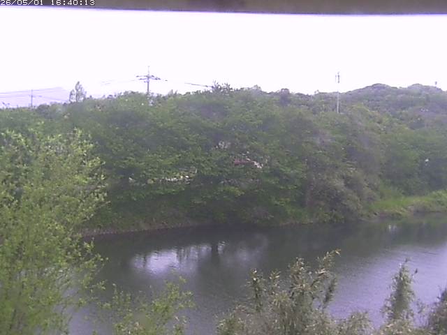 勝部川１2026/05/01 16:50:00