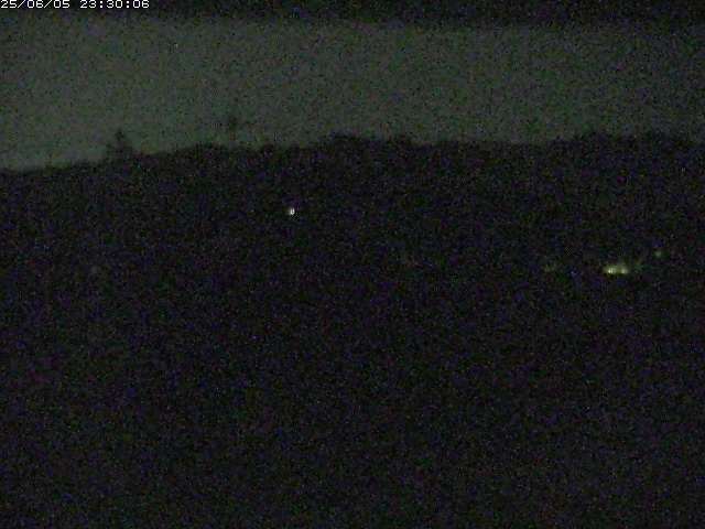 勝部川１2025/06/06 0:50:00