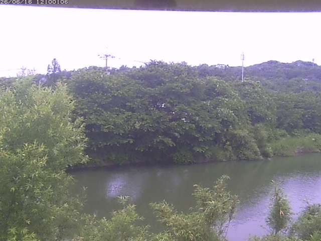 勝部川１2026/06/17 12:00:00