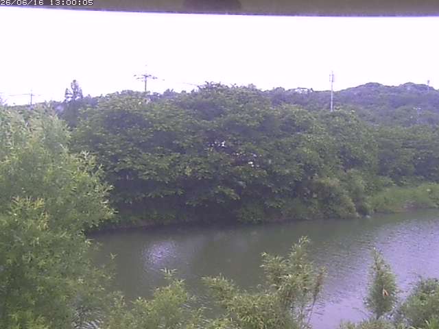 勝部川１2026/06/17 12:00:00
