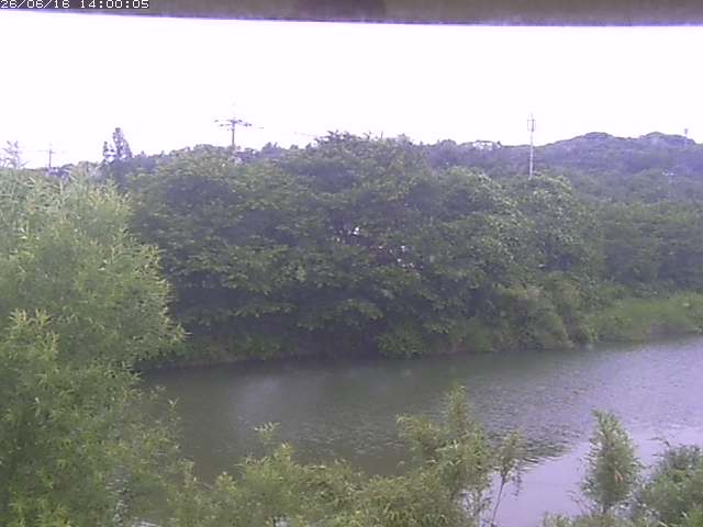 勝部川１2026/06/17 12:00:00