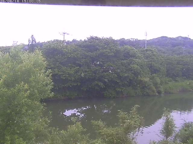 勝部川１2026/06/17 12:00:00