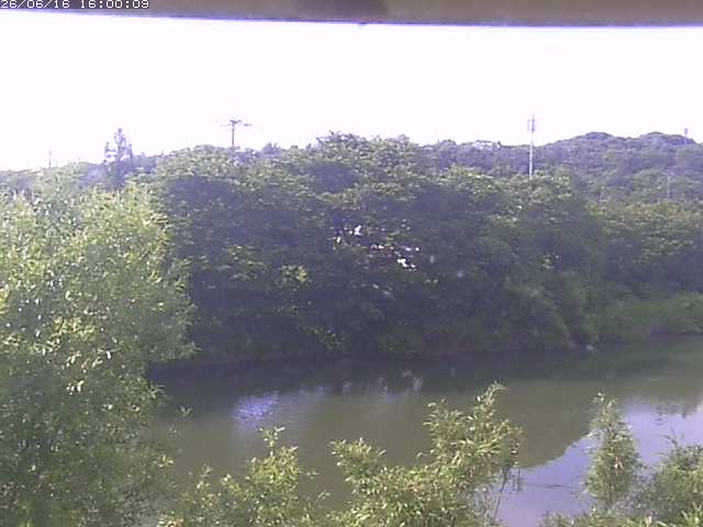 勝部川１2026/06/17 12:00:00