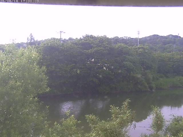 勝部川１2026/06/17 12:00:00