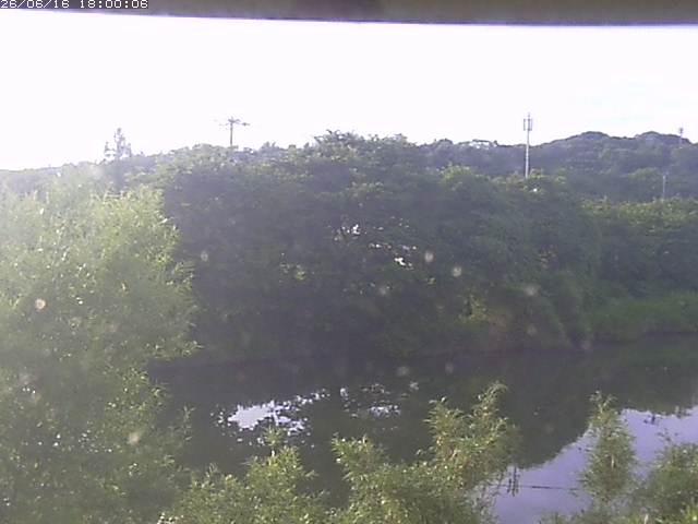勝部川１2026/06/17 12:00:00