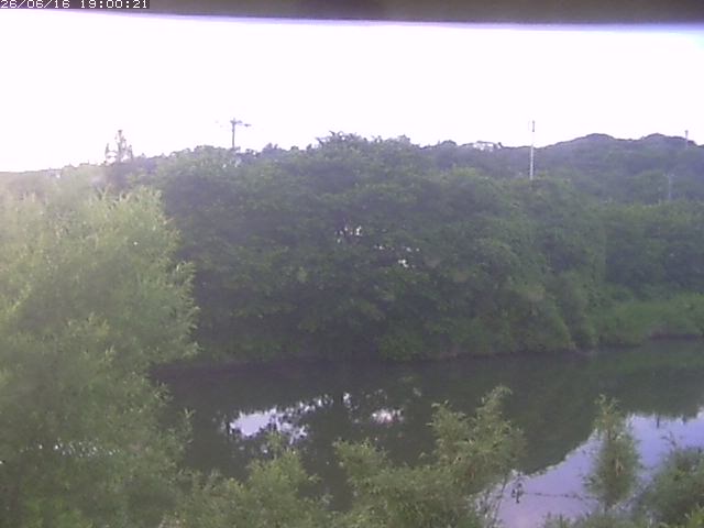 勝部川１2026/06/17 12:00:00
