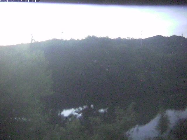 勝部川１2026/06/17 12:00:00