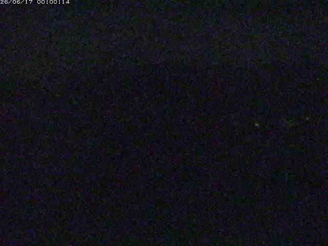 勝部川１2026/06/17 12:00:00