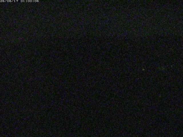 勝部川１2026/06/17 12:00:00