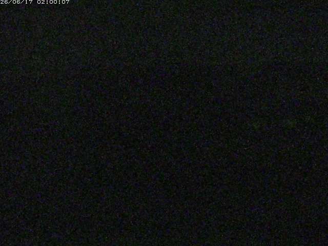 勝部川１2026/06/17 12:00:00
