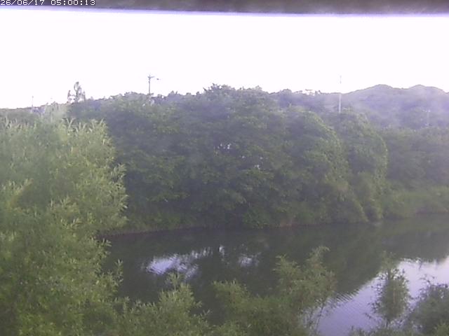 勝部川１2026/06/17 12:00:00