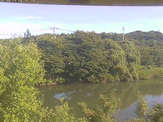 勝部川１2026/06/17 12:00:00