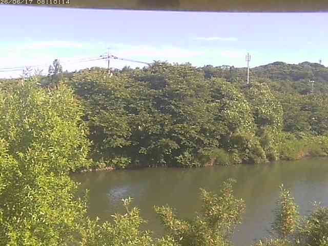 勝部川１2026/06/17 12:00:00