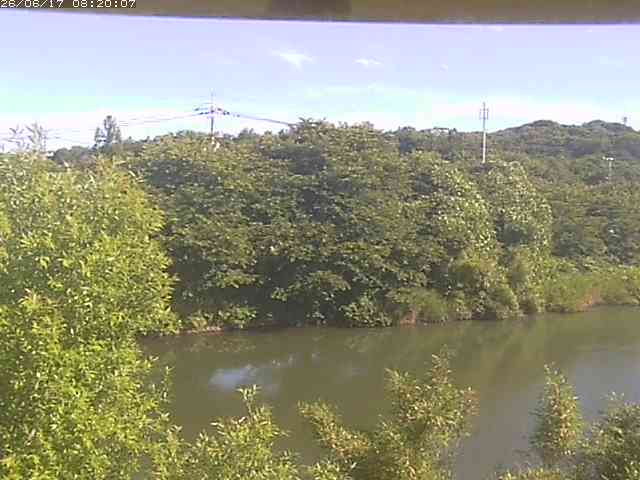 勝部川１2026/06/17 12:00:00