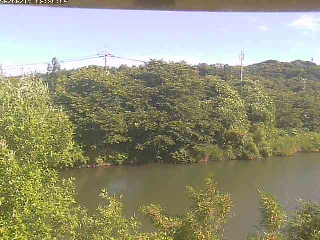 勝部川１2026/06/17 12:00:00