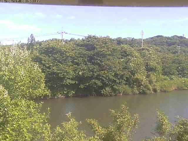 勝部川１2026/06/17 12:00:00