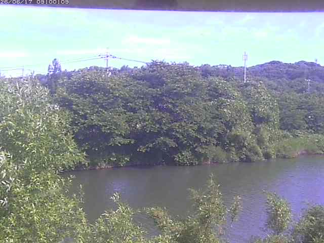 勝部川１2026/06/17 12:00:00