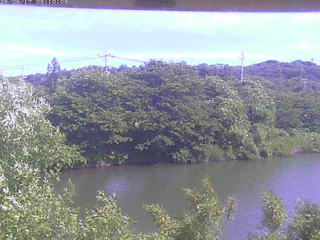 勝部川１2026/06/17 12:00:00