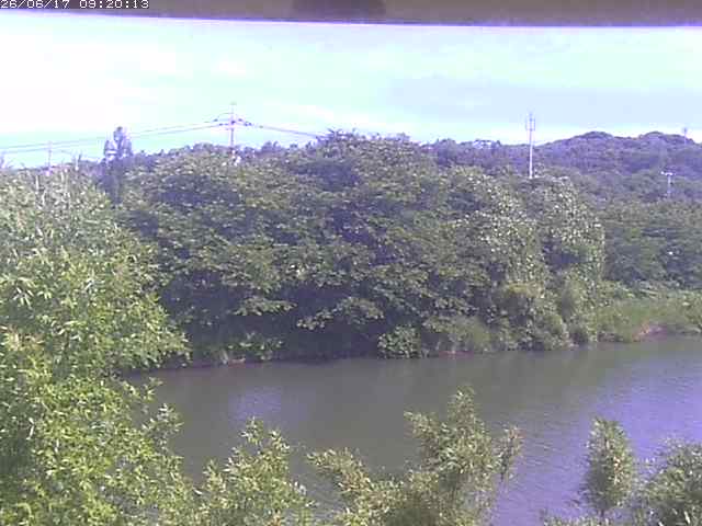 勝部川１2026/06/17 12:00:00