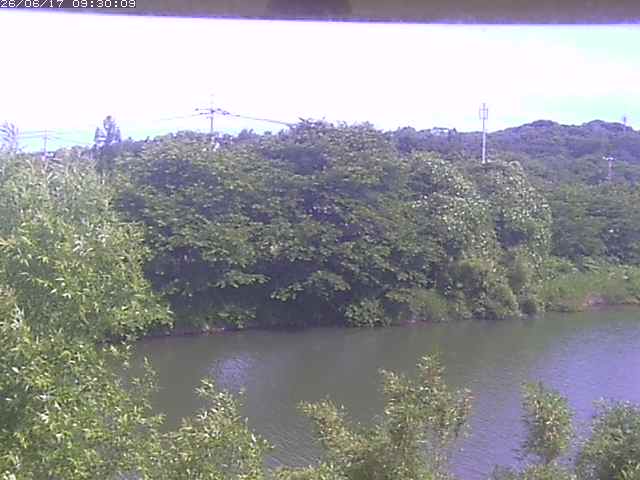 勝部川１2026/06/17 12:00:00