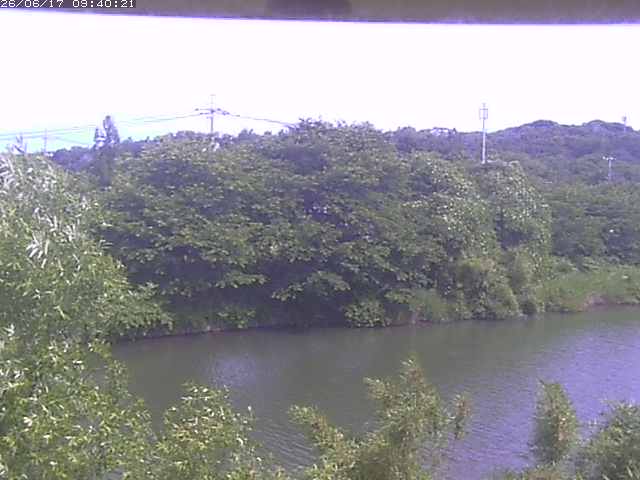 勝部川１2026/06/17 12:00:00