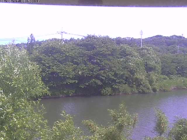 勝部川１2026/06/17 12:00:00