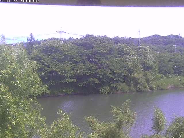 勝部川１2026/06/17 12:00:00