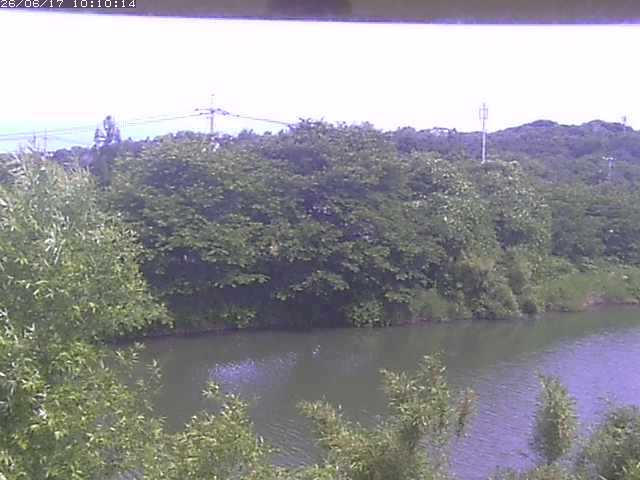 勝部川１2026/06/17 12:00:00