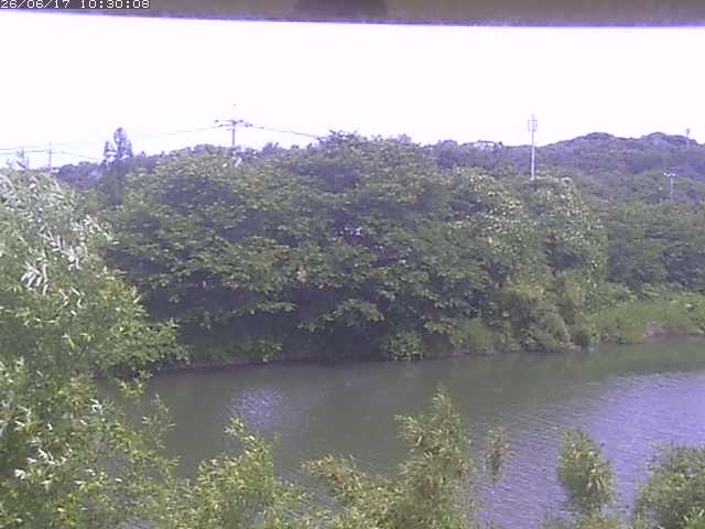 勝部川１2026/06/17 12:00:00