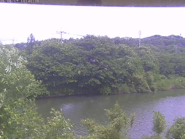 勝部川１2026/06/17 12:00:00