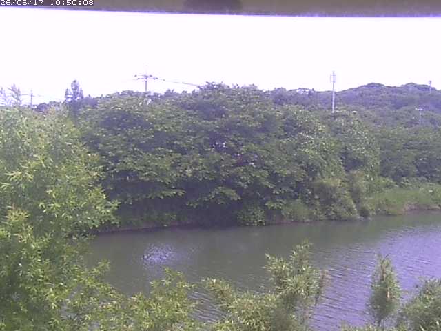 勝部川１2026/06/17 12:00:00