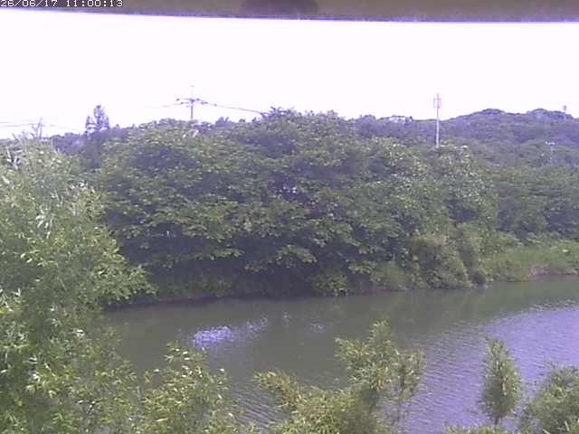 勝部川１2026/06/17 12:00:00