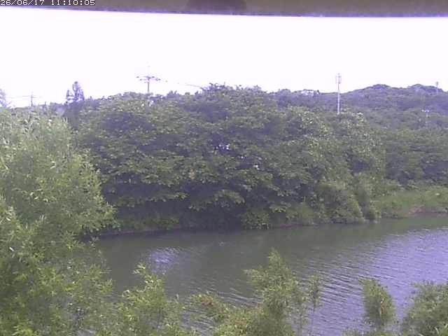 勝部川１2026/06/17 12:00:00