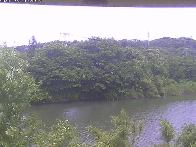 勝部川１2026/06/17 12:00:00