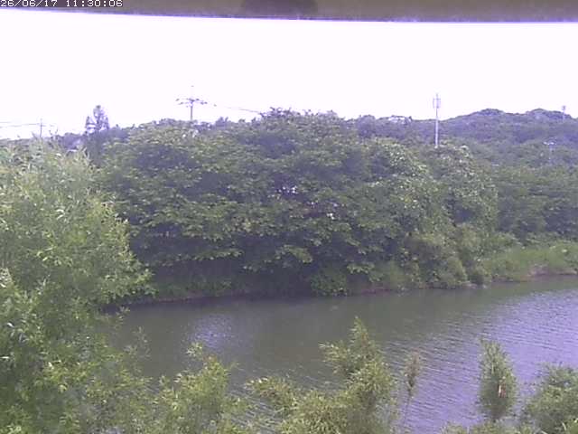 勝部川１2026/06/17 12:00:00