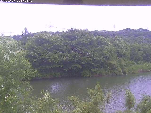 勝部川１2026/06/17 12:00:00