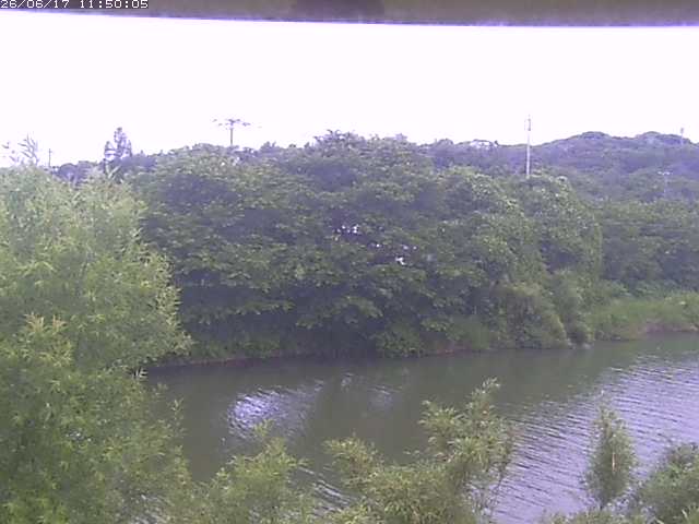 勝部川１2026/06/17 12:00:00