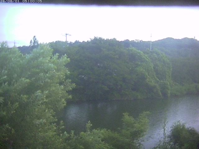 勝部川１2026/08/01 20:50:00