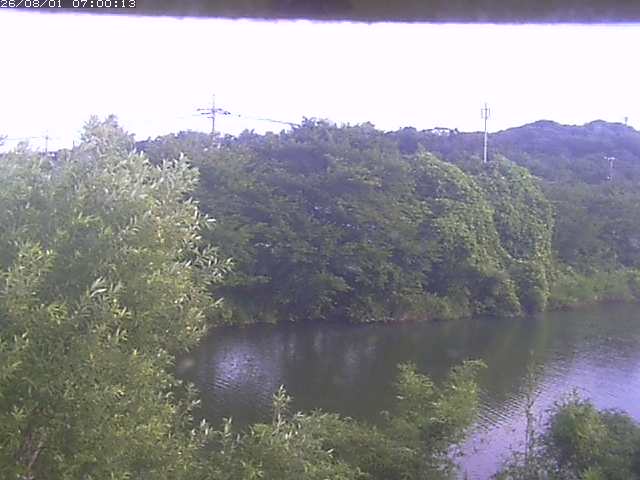 勝部川１2026/08/01 20:50:00