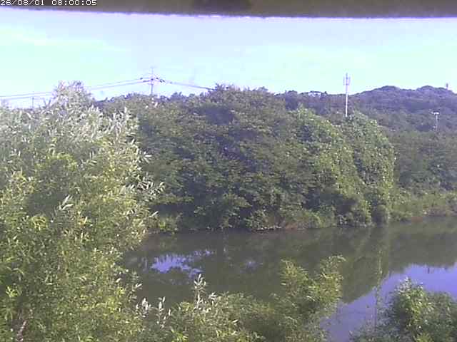 勝部川１2026/08/01 20:50:00