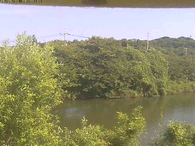 勝部川１2026/08/01 20:50:00
