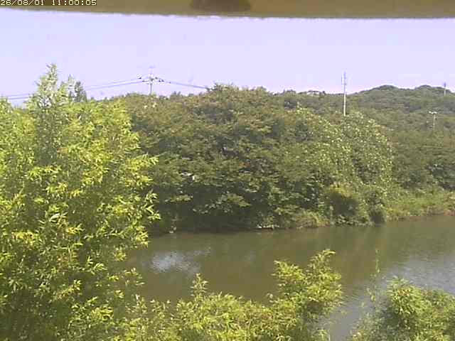 勝部川１2026/08/01 20:50:00